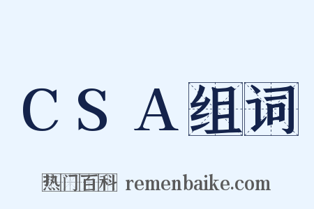 CSA组词是什么意思的图片